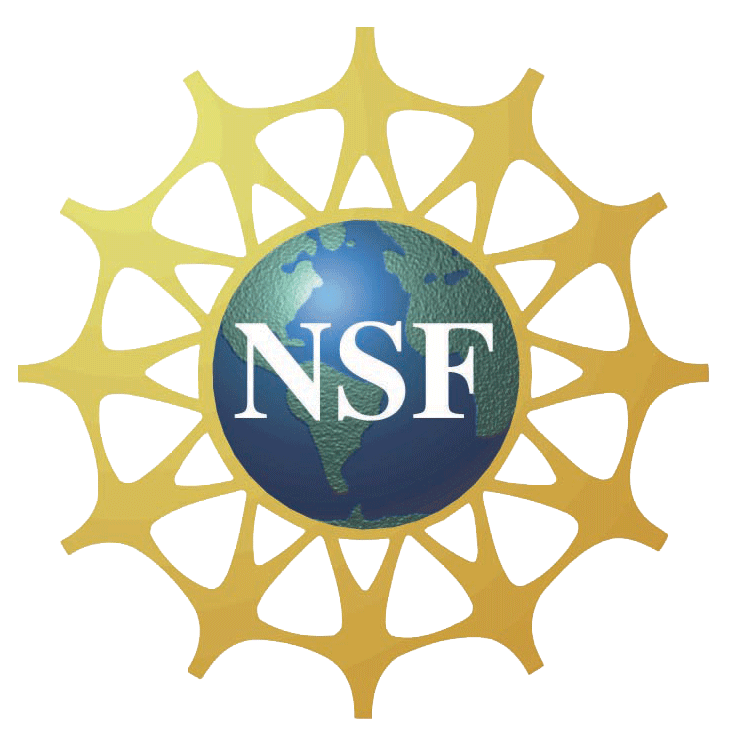 nsf logo large